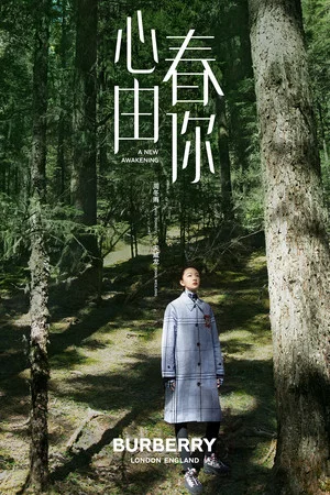 Постер: A New Awakening