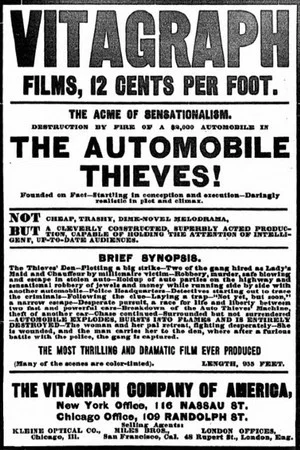 Постер: The Automobile Thieves