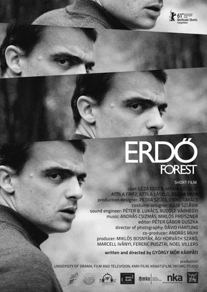 Постер: Forest