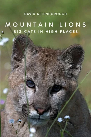 Постер: Mountain Lions: Big Cats in High Places