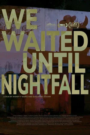 Постер: We Waited Until Nightfall