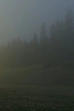 Постер: In A Beautiful And Quiet Location