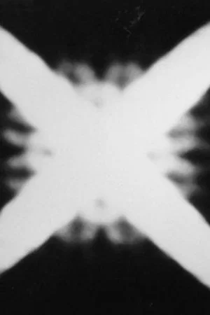 Постер: MATERIAL ECSTASY