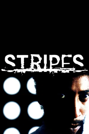 Постер: Stripes