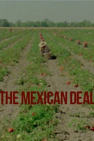 Постер: Le Deal mexicain