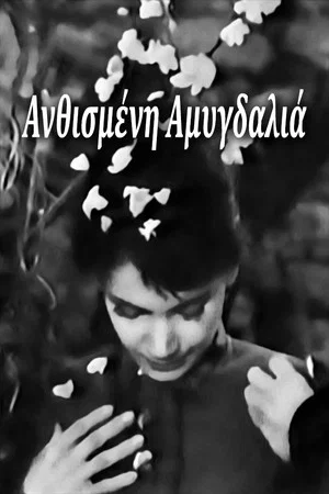 Постер: Blossoming Almond Tree