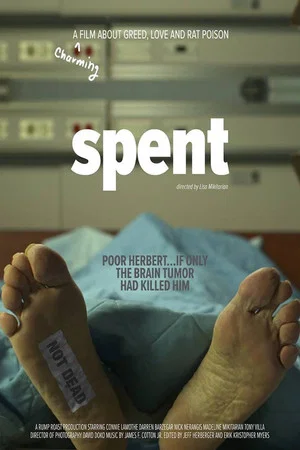 Постер: Spent