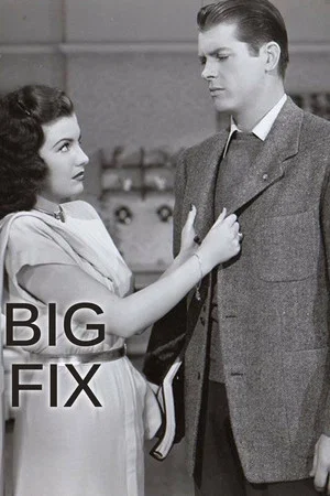 Постер: The Big Fix