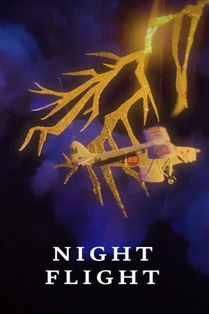Постер: Night Flight