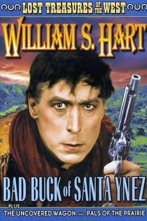 Постер: Bad Buck of Santa Ynez