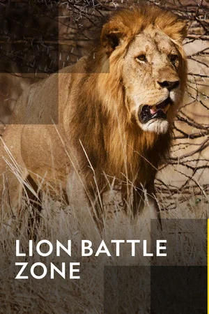 Постер: Lion Battle Zone