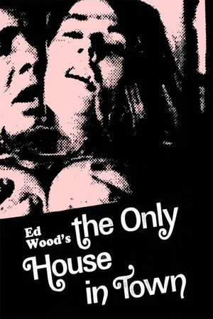 Постер: The Only House in Town