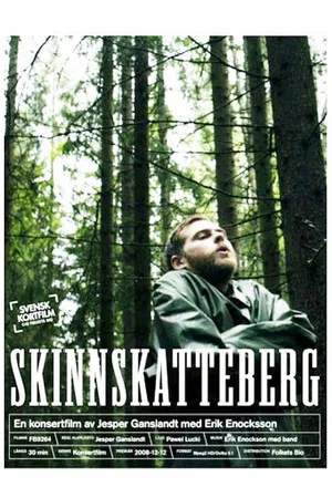 Постер: Skinnskatteberg