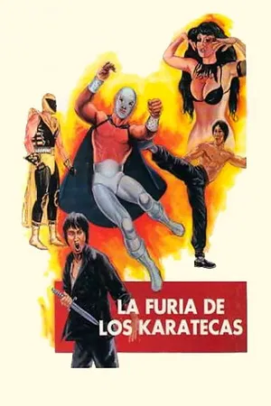 Постер: The Fury of the Karate Experts