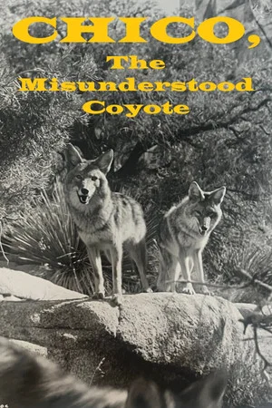 Постер: Chico, the Misunderstood Coyote