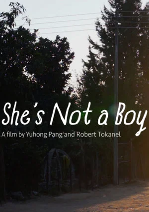 Постер: She's Not a Boy
