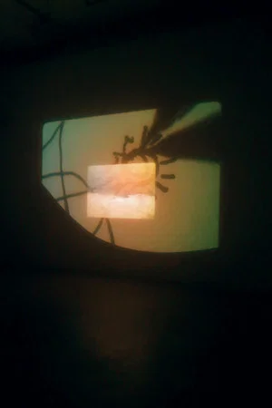 Постер: A Conversation with the Sun