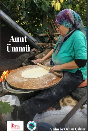 Постер: Ümmü Teyze