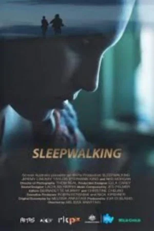 Постер: Sleepwalking