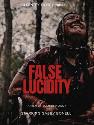 Постер: False Lucidity