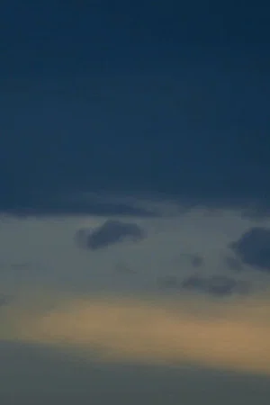 Постер: Vestige