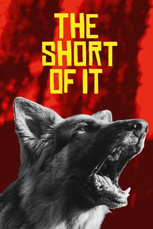 Постер: The Short of It