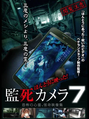 Постер: Paranormal Surveillance Camera 7