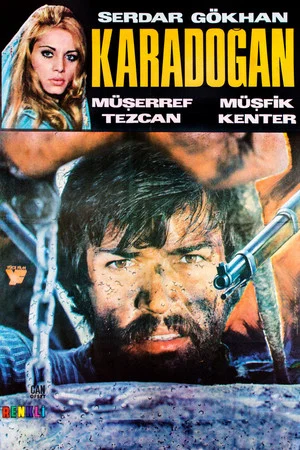 Постер: Kara Doğan