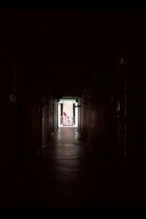 Постер: Boding