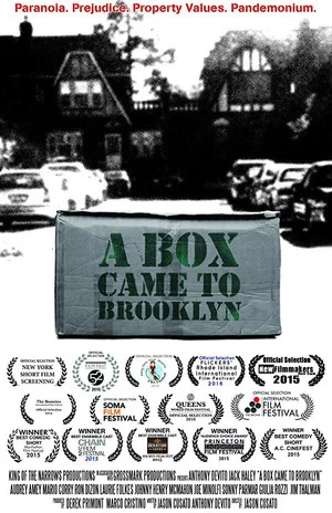 Постер: A Box Came to Brooklyn