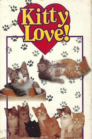 Постер: Non-Stop Kittens