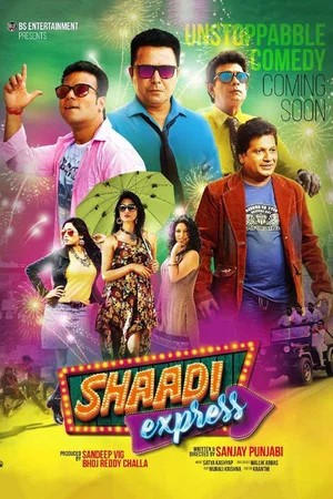 Постер: Shaadi Express