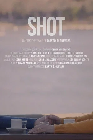 Постер: Shot
