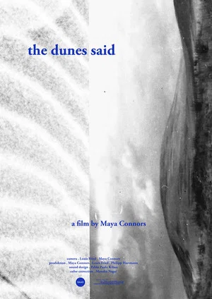 Постер: The Dunes Said