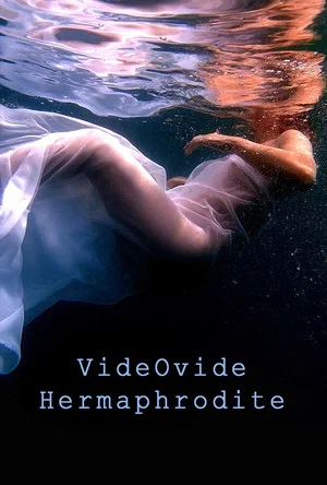 Постер: VideOvide Hermaphrodite