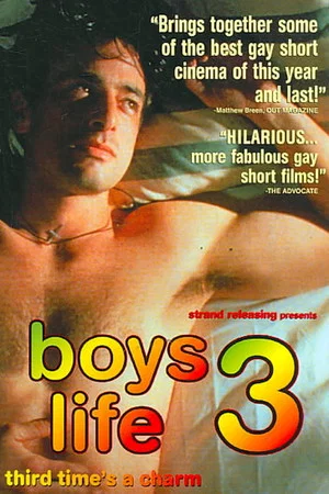 Постер: Boys Life 3