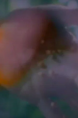 Постер: Birth