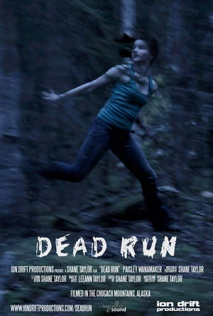 Постер: Dead Run