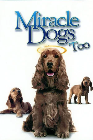 Постер: Miracle Dogs Too