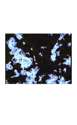 Постер: What The Water Said, Nos. 4-6