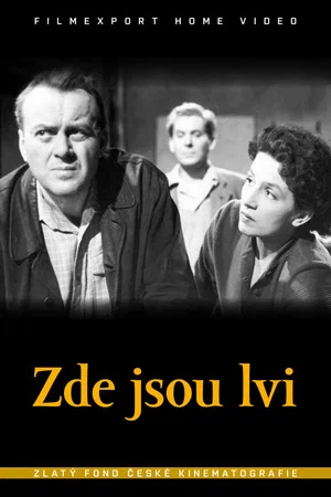 Постер: Zde jsou lvi