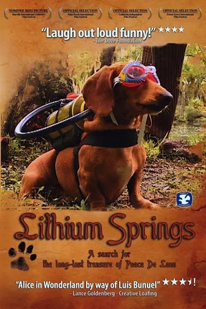 Постер: Lithium Springs