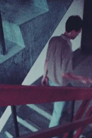 Постер: What to Do about Those Broken Stairs?