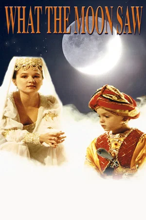 Постер: What the Moon Saw