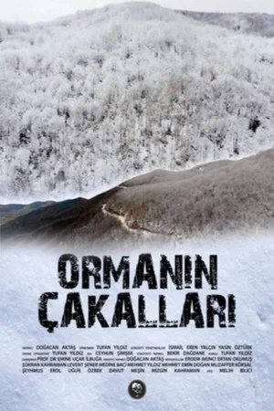Постер: Ormanın Çakalları