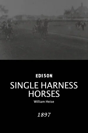 Постер: Single Harness Horses