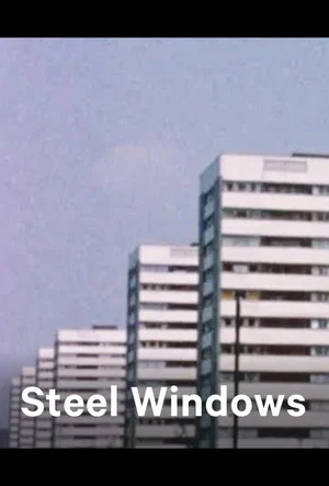 Постер: Steel Windows