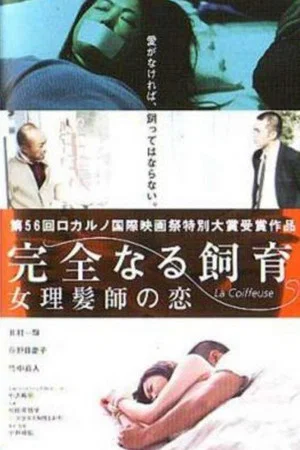 Постер: Perfect Education 5: Amazing Story
