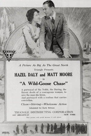 Постер: A Wild Goose Chase
