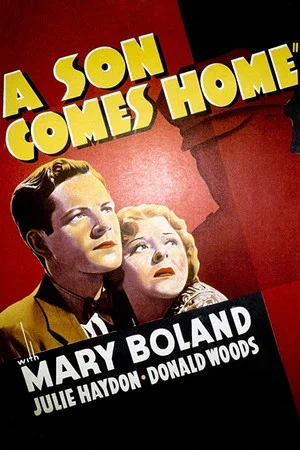 Постер: A Son Comes Home
